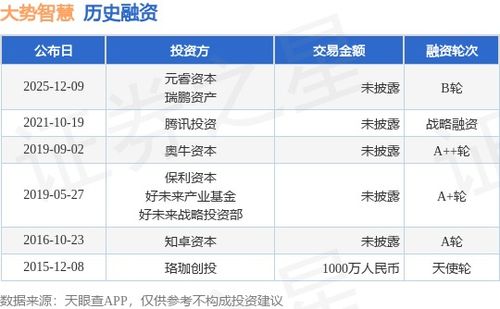 大勢智慧完成B輪融資，元睿資本與瑞鵬資產領投，技術賦能再升級